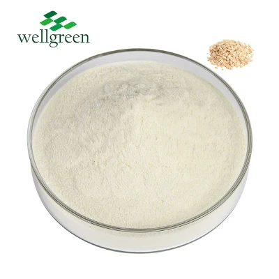 Wellgreen Supply reines Hydrolyse-Enzymolyse-Haferpulver in Lebensmittelqualität für Kaffee, Milch, Eis, Schokolade