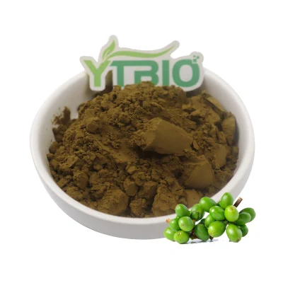 Nahrungsergänzungsmittel aus grünen Kaffeebohnen-Extrakt-Pulver