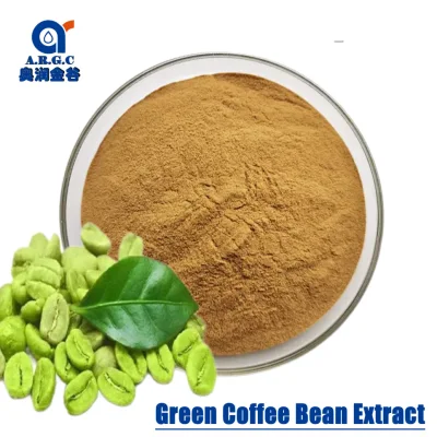 Heißer Verkauf, hochwertiges grünes Kaffeebohnen-Extrakt-Pulver