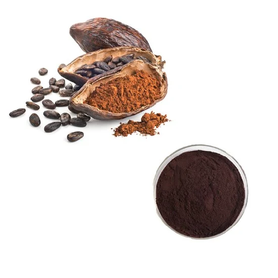 Bestes Kakaosamenextraktpulver zur Herstellung von Kuchen, Eiscreme, Keksen, Schokolade und Kakao
