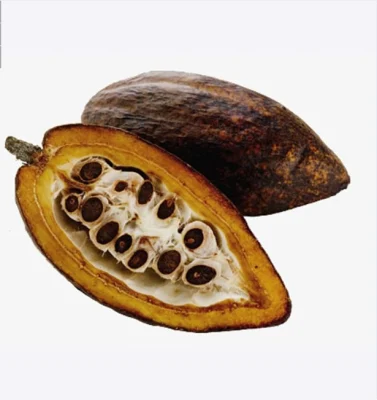Pflanzenextrakt Kakaopulver Biolebensmittelschokolade